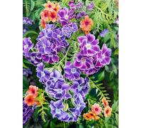 JWPSHIJIE 5D DIY Diamond Art and Craft Painting Kits Full Drill, Flowers Crystal Rhinestone Cross Stitch Embroidery Canvas Painting Pictures by Numbers