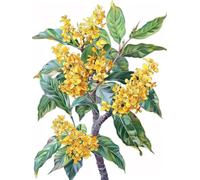 JWPSHIJIE 5D DIY Diamond Art Painting Kits Full Drill, Flowers Diamond Crystal Rhinestone Canvas Embroidery Cross Stitch Painting Pictures by Numbers