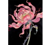 JWPSHIJIE 5D DIY Diamond Painting Kits, Flowers Full Drill Crystal Rhinestone Diamonds Embroidery Paintings Cross Stitch Mosaic Art for Home Wall Decor