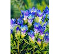 JWPSHIJIE 5D DIY Diamond Painting Kits, Flowers Full Drill Crystal Rhinestone Diamonds Embroidery Paintings Cross Stitch Mosaic Art for Home Wall Decor