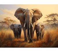 JWPSHIJIE Cross Stitch Embroidery Kits for Adults Kids, Animal Elephant Pattern,N,50 * 70cm Cross Stitch Kits 11 CT Stamped, DIY Needlework Easy Beginners