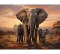JWPSHIJIE Cross Stitch Embroidery Kits for Beginners Adults, Animal Elephant Pattern,Q,50 * 70cm Stamped Cross Stitch Kits, Full Range of Embroidery Starter Kit, Tools Sewing Art Craft