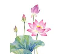 JWPSHIJIE Diamond Painting Set, Flowers 5D Diamond Art Kits, DIY Cross Embroidery Painting Kits for Wall and Entrance Decoration