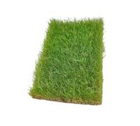 JWQFBC Grass Clump Model Lawn Clumps Terrain Model Miniature Grass Vegetation Groups for Building A, Spring Green