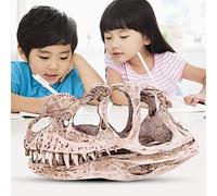 Jwthee Dinosaur Bones, Dinosaur Skeleton Resin Ornament Dinosaur Skull Model Figurine Dinosaur Skull Fossil Teaching Skeleton Model for Home Office Decor