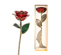 Jwthee Gold Dipped Rose, 24k Gold Rose with Transparent Stand Forever Preserved Long Stem Rose Flowers Golden Roses Romantic Gifts for Women in Her Birthday Anniversary Day Mothers Day