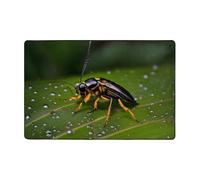 JxWCher Insects on Leaves Print Non-Slip Rug, Soft Memory Foam Area Mat for Bedroom, Living Room, Absorption Floor Mat, 72"x48"