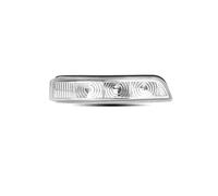 JXYFFS Mirror Indicator 87613-1U000 Amber Rearview Mirror Light 12V Turn Signal Lamp 876231U000 For US Version For Kia For Sorento 2011-2015 Dynamic Turn Signal Light(1pc Right Side)