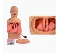 JXYQ Advanced Nasogastric Tube and Trachea Care Model Gastric Lavage Tracheostomy Model, Training Gastric Lavage Tracheostomy Model, Intubation Gastric Tube Model for Nursing Teaching