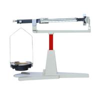 JXYQ Mechanical Balance Scale, Lab Analytical Weight Set, Weighing Range 0.01g-311g, Clearly Marked, Physical Mechanics Experimental Equipment Teaching Aids, for Colleges, Laboratory