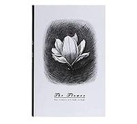 JYARZ Writing Notebook Notepad Simple Student Business Hard Copy Transcript Notebook Stationery Creative Blank Horizontal Line Notepad Handbook Diary Work Journal(B)