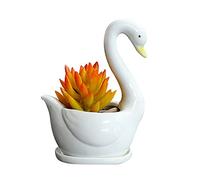 JYCRA White Ceramic Swan Planter Cute Animals Succulent Planter Pots with Drainage Tray Small Ceramic Flower Pots for Plants Home Desktop Office Garden Swan Ornament Decor(#1)