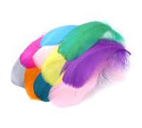 JYJLLM Colorful Craft Rooster Feathers - 300pcs Colored Feathers Bulk for Kindergarten DIY Crafts,Feathers for Crafting，Wedding Home Party Decorations,Dream Catcher Supplies (Bright Colors)