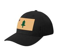 JYKJUEDZ Baseball Cap Historic Flag of Maine (1901-1909) Icon Funny Military Man Tea Mens Caps Women's
