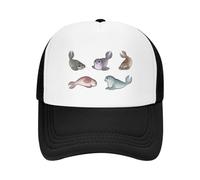 JYKJUEDZ Baseball Cap Little Seals Fashion Casual Mesh Adjustable Hip Hop Summer Unisex Baseball Polychromatic