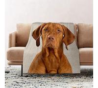 JYLYZZIN Fleece Blanket | Soft Cozy Flannel Throw Blanket | Perfect for Home, Bedroom, Sleepovers & Camping,Hungarian or Magyar Vizsla isolated over cream background,100x130cm