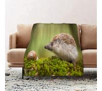 JYLYZZIN Fleece Blanket | Soft Cozy Flannel Throw Blanket | Perfect for Home, Bedroom, Sleepovers & Camping,Hedgehog, Animal Photography in Eastern Europe Slug with Na Hedgehog Scenes,100x130cm