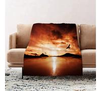 JYLYZZIN Fleece Blanket | Soft Cozy Flannel Throw Blanket | Perfect for Home, Bedroom, Sleepovers & Camping,Flying Birds A Sea Bird Flies Off into The Amazing Sunset Cloudy Sky Sun Reflect,100x130cm