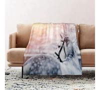 JYLYZZIN Fleece Blanket | Soft Cozy Flannel Throw Blanket | Perfect for Home, Bedroom, Sleepovers & Camping,Horse decor, Portrait of a gray sport stallion in winter Sunset,130x150cm