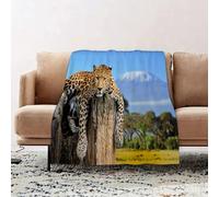 JYLYZZIN Fleece Blanket | Soft Cozy Flannel Throw Blanket | Perfect for Home, Bedroom, Sleepovers & Camping,Leopard sitting on a tree on a background of Mount Kilimanjaro,130x150cm