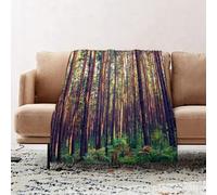 JYLYZZIN Fleece Blanket | Soft Cozy Flannel Throw Blanket | Perfect for Home, Bedroom, Sleepovers & Camping,Dark coniferous forest in the early Morning covered the forest floor,100x130cm