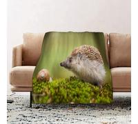 JYLYZZIN Fleece Blanket | Soft Cozy Flannel Throw Blanket | Perfect for Home, Bedroom, Sleepovers & Camping,hedgehog with snail,100x130cm
