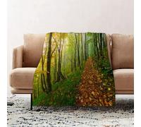 JYLYZZIN Fleece Blanket | Soft Cozy Flannel Throw Blanket | Perfect for Home, Bedroom, Sleepovers & Camping,Beautiful colorful forest scene with path in the Croatian Plitvice National Park,130x150cm