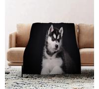 JYLYZZIN Fleece Blanket | Soft Cozy Flannel Throw Blanket | Perfect for Home, Bedroom, Sleepovers & Camping,Cute Modern Siberian Husky Puppy Dog,100x130cm