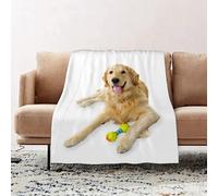 JYLYZZIN Fleece Blanket | Soft Cozy Flannel Throw Blanket | Perfect for Home, Bedroom, Sleepovers & Camping,Golden retriever pet dog laying down with toy isolated on white background,100x130cm
