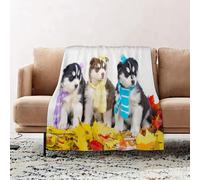 JYLYZZIN Fleece Blanket | Soft Cozy Flannel Throw Blanket | Perfect for Home, Bedroom, Sleepovers & Camping,Highbreed Adorable Siberian Husky Sweet Hairy Puppies Animal Wildlife,100x130cm