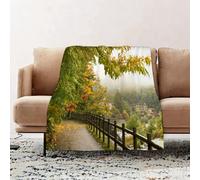 JYLYZZIN Fleece Blanket | Soft Cozy Flannel Throw Blanket | Perfect for Home, Bedroom, Sleepovers & Camping,Japanese Garden in Kyoto Japan,100x130cm