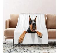 JYLYZZIN Fleece Blanket | Soft Cozy Flannel Throw Blanket | Perfect for Home, Bedroom, Sleepovers & Camping,go to you. Close up portrait of climbing doberman pinscher on isolated white bac,100x130cm