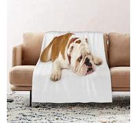 JYLYZZIN Fleece Blanket | Soft Cozy Flannel Throw Blanket | Perfect for Home, Bedroom, Sleepovers & Camping,english bulldog,100x130cm