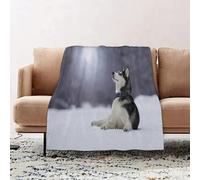 JYLYZZIN Fleece Blanket | Soft Cozy Flannel Throw Blanket | Perfect for Home, Bedroom, Sleepovers & Camping,Dog Siberian Husky Lies On Snow Animals Fauna Pet Wolf,100x130cm