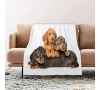 JYLYZZIN Fleece Blanket | Soft Cozy Flannel Throw Blanket | Perfect for Home, Bedroom, Sleepovers & Camping,Group Dachshund Dogs Lying Together,100x130cm