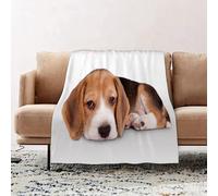 JYLYZZIN Fleece Blanket | Soft Cozy Flannel Throw Blanket | Perfect for Home, Bedroom, Sleepovers & Camping,Lying Nature Beautiful Little Depression Cute Dog Beagle Puppy Wit Compassionate,130x150cm