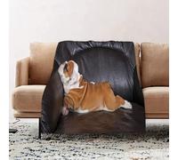 JYLYZZIN Fleece Blanket | Soft Cozy Flannel Throw Blanket | Perfect for Home, Bedroom, Sleepovers & Camping,English bulldog puppy relaxing on black leather sofa.,100x130cm