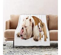 JYLYZZIN Fleece Blanket | Soft Cozy Flannel Throw Blanket | Perfect for Home, Bedroom, Sleepovers & Camping,father and son dogs - english bulldog puppy licking tongue,100x130cm