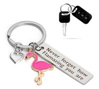 JYNVO "Gifts for Women Gifts for Women, 1 PCS Stainless Steel Keychain with Flamingo (Pink Heart Pattern), Suitable for Gifts (Girl, Heart Friend, etc.) and Key Decoration
