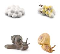 JYNVO Models 4, snail life cycle, detailed development stages, fun and educational, from egg to snail, with digital exercises; suitable for children ages 4 and up.