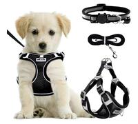 JYTDBCS Dog Harness Medium Breathable Vest, Step-in Cat Puppy Harness and Lead Sets, Adjustable Reflective Anti Pull Dog Harness with Collars for Extra-Small/Small Medium Dogs Training or Walking (M)