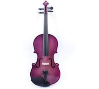 Jyuiipcz Acoustic Violin Fiddle Handmade Violin Purple Popular Solid Wood Violin Handmade Grade Examination Student Violin Violin for Beginner (Color : Purple) (Color : #2)