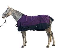 Jyuiipcz Horse Turnout Blanket 1200D Waterproof Winter Warm Horse Carpet Essential Standard Neck Horse Care Rug (Sky Blue 74) (Dk.Purple 74)