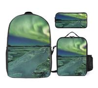 JZemdybill 3 In 1 Backpack Combination Set,Beautiful Northern Lights Autumn Pumpkin Leaves Baroque Black Labrador Dog Black Scary Skull Black Horse Boston Terrier,17 Inch Backpack + Lunch Bag + Penci