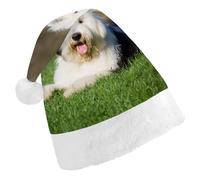 JZemdybill Christmas Hat for Adults,Old English Sheepdog Dog Hat for Various Holiday Parties