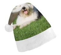 JZemdybill Christmas Hat,Old English Sheepdog Dog Hat for Various Holiday Parties