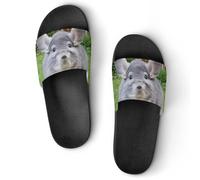 JZemdybill Shower Slippers, Chinchilla Camerons Sliders for Men And Women, Non-Slip Slides