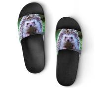 JZemdybill Shower Slippers, Cute Little Hedgehog Sliders for Men And Women, Non-Slip Slides