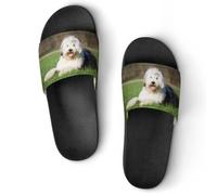 JZemdybill Shower Slippers, Old English Sheepdog Dog Sliders for Men And Women, Non-Slip Slides