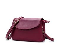 JZFOACHR Small Crossbody Bag for Women Cell Phone Shoulder Bag Wallet Satchel Purse with Adjustable Strap